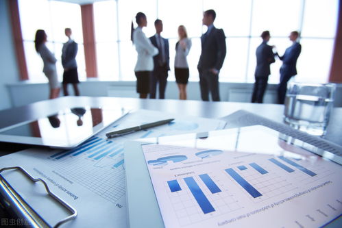 信息化浪潮下的企業(yè)信息化管理 概念、內涵與技術咨詢的橋梁作用
